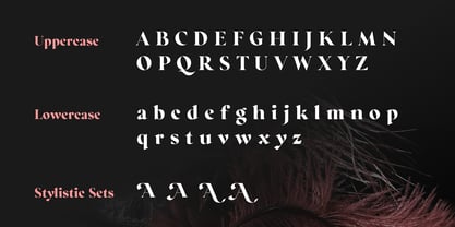 Regatto Font Poster 4