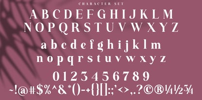 Essinna Font Poster 11