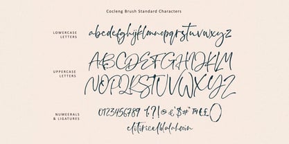 Cocleng Brush Font Poster 9