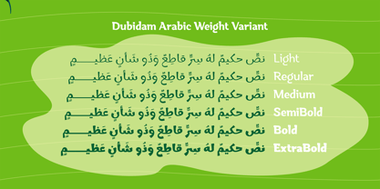 Dubidam Arabic Font Poster 5