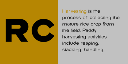 Rice Collect Font Poster 2