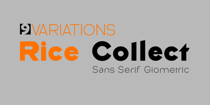 Rice Collect Font Poster 1