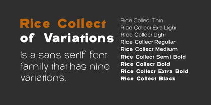 Rice Collect Font Poster 4