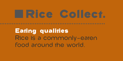 Rice Collect Font Poster 5