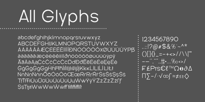 Rice Collect Font Poster 6