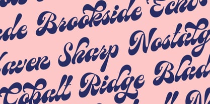 Birchside Typeface Font Poster 5