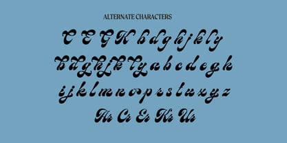 Birchside Typeface Font Poster 14
