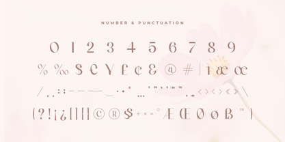 Hannah Style Font Poster 6