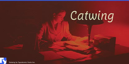 Catwing Font Poster 1