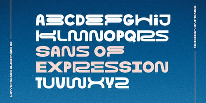 Sans of Expression Font Poster 8