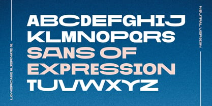 Sans of Expression Font Poster 6