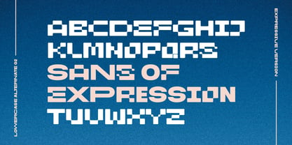 Sans of Expression Font Poster 7