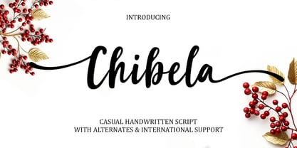 Chibela Font Poster 1