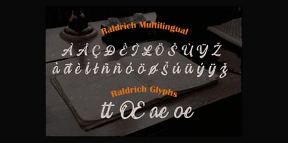 Raldrich Font Poster 11