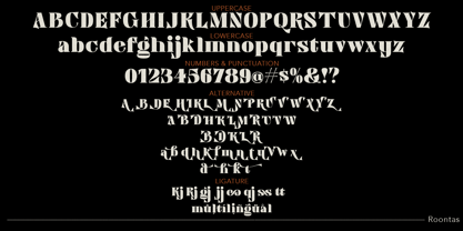 Roontas Font Poster 10