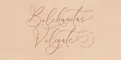 Bolchanitas Voligate Font Poster 1