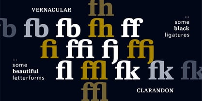 Vernacular Clarendon Font Poster 14