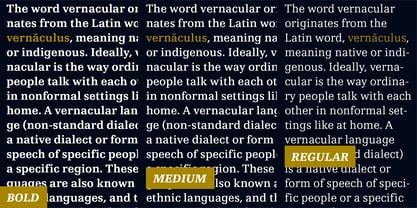 Vernacular Clarendon Font Poster 6