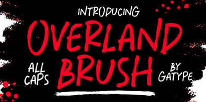 Overland Brush Font Poster 1