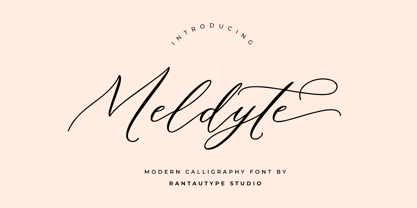 Meldyte Font Poster 1