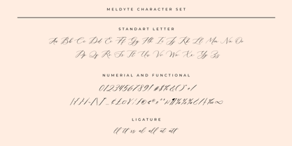 Meldyte Font Poster 13