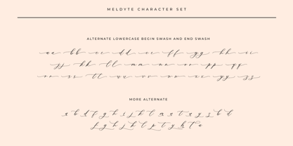 Meldyte Font Poster 14