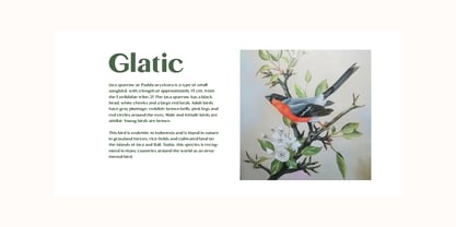 Glatic Font Poster 3