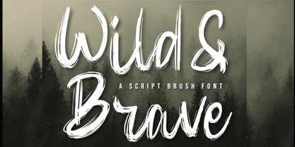 Wild & Brave Font Poster 1