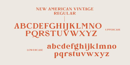New American Vintage Font Poster 14