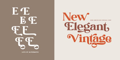 New American Vintage Font Poster 13
