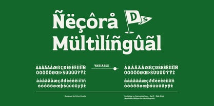 Necora Font Poster 7