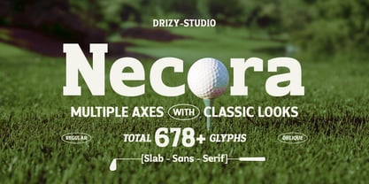 Necora Font Poster 1