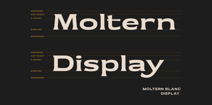 Moltern Blanc Font Poster 4