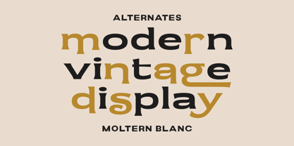 Moltern Blanc Font Poster 2