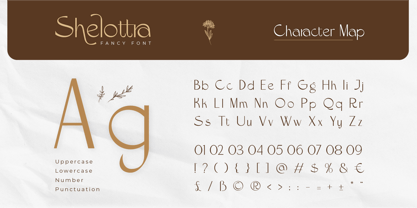 Shelottra Font Poster 2