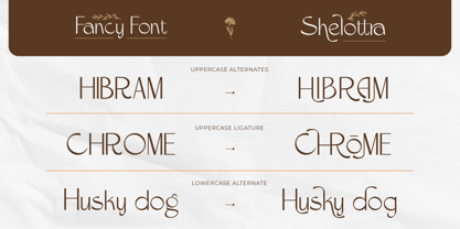 Shelottra Font Poster 5