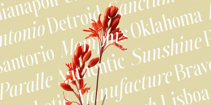 Johannes Keppler Font Poster 4