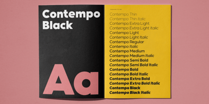 Contempo Gothic Font Poster 13