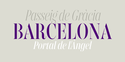 Gabriela Stl Condensed Font Poster 8