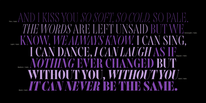 Gabriela Stl Condensed Font Poster 11