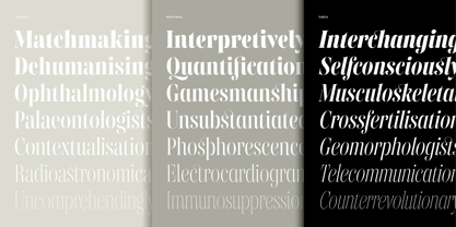 Gabriela Stl Condensed Font Poster 3