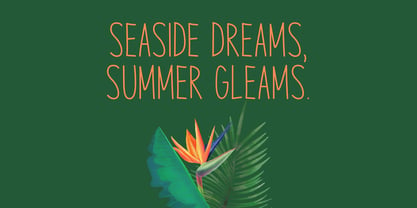 Seaside Charm Font Poster 4