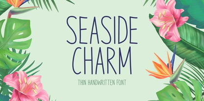 Seaside Charm Font Poster 1