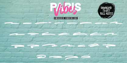 Paris Vibes Fuente Póster 13