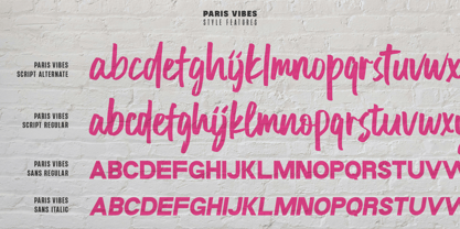 Paris Vibes Font Poster 11