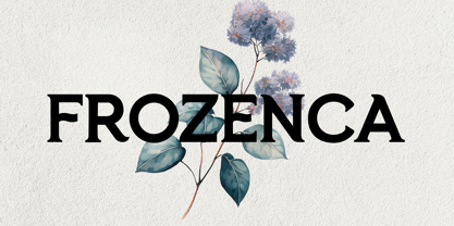 Frozenca Script Typeface Font Poster 1