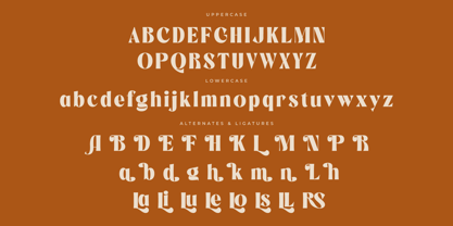 Negoka Font Poster 7