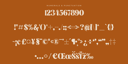 Negoka Font Poster 8