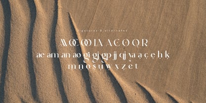 Ahganirya Font Poster 2
