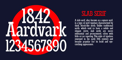 Roisin Slab Font Poster 4